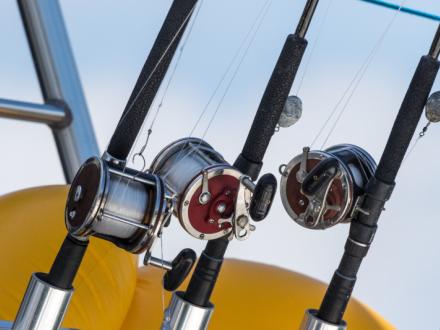 Charter Fishing Orange Beach
