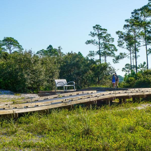 couple walking along the boardwalk train in bon Secour national wildlife refuge in fort morgan