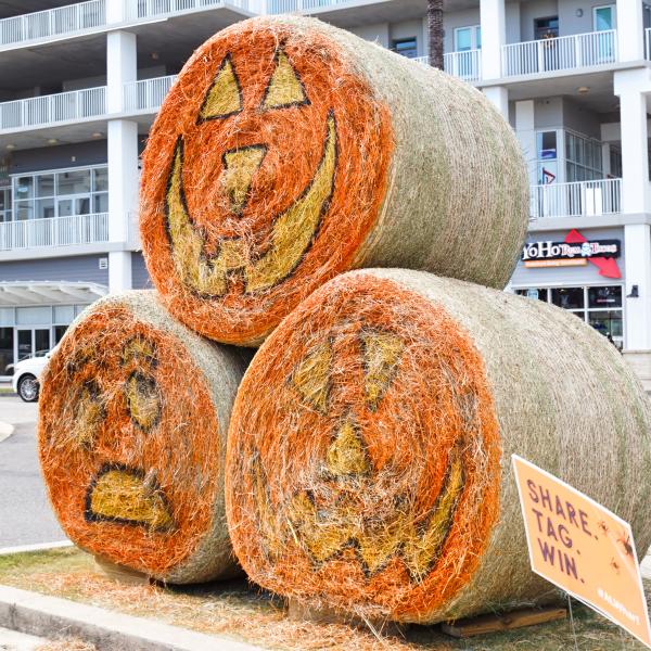 The Wharf Hay Barrels