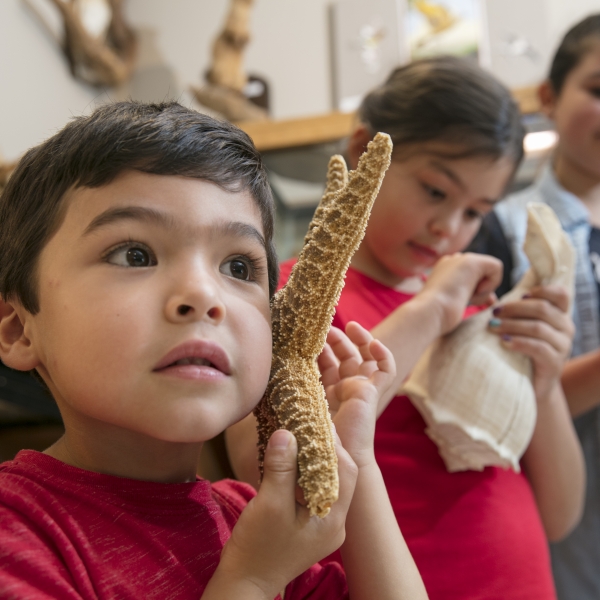 Child holding a star fish at the Nature Center