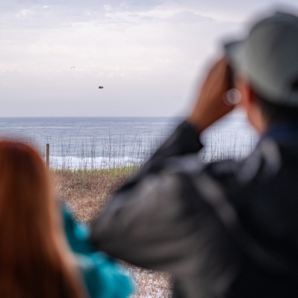 People looking at birds on the beach on Alabama's Beaches