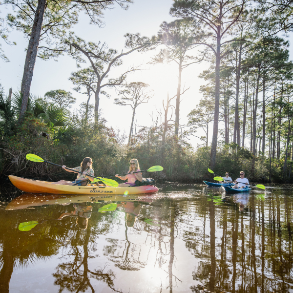 Kayaking Tours