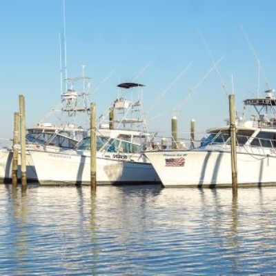 fishing charter boats docked at the Fort Morgan Marina