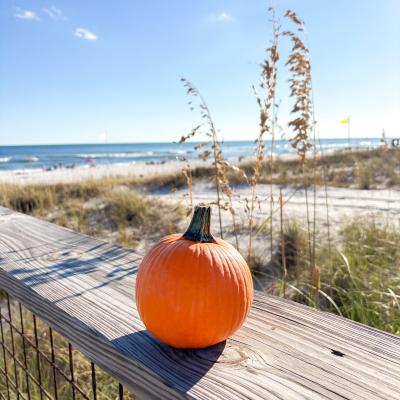 Pumpkin on the beach