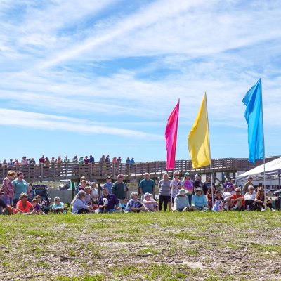 crowd of people watching performances at ballyhoo cultural and arts festival in gulf shores