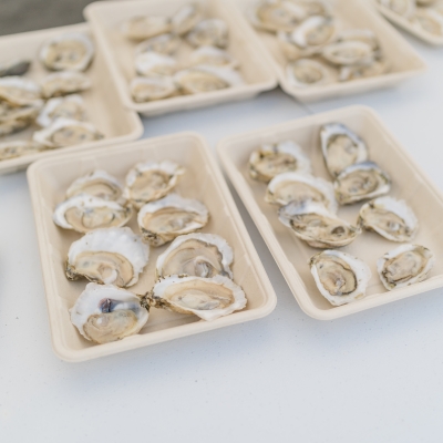 raw oysters at the Fort Morgan Oyster Fest seafood event