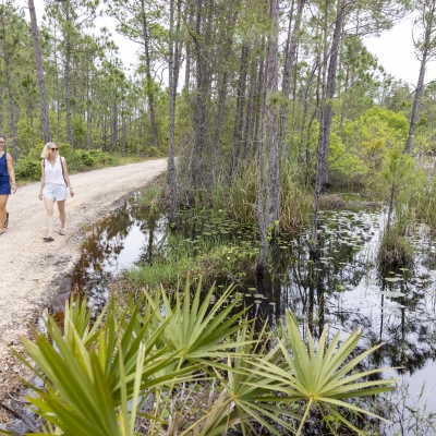 Friends walking on Pine Beach Trail in the Bon Secour Wildlife Refuge