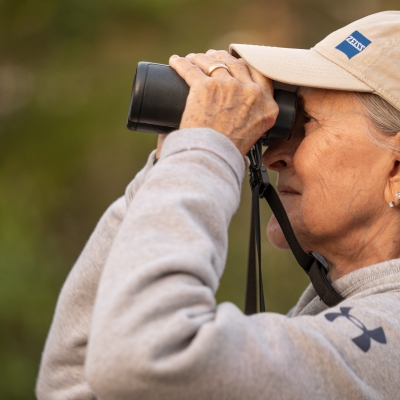 Person looking at birds on Alabama's Beaches