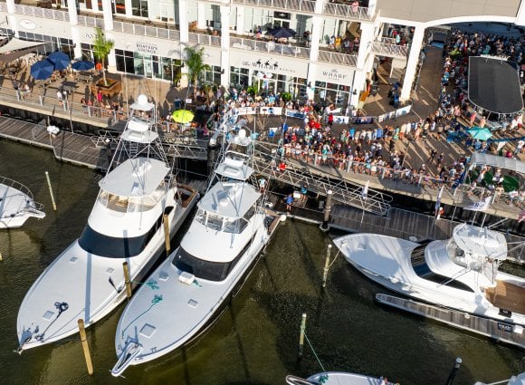 Blue Marlin Grand Championship fishing tournament in Orange Beach