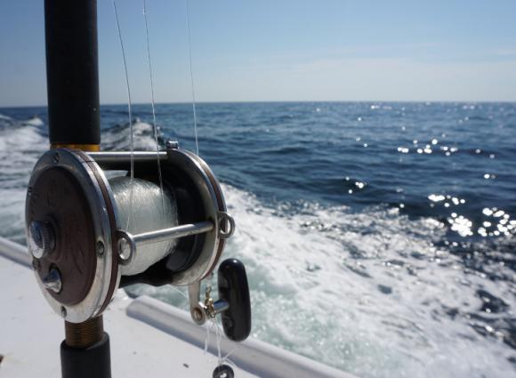 Fishing Gulf Shores AL