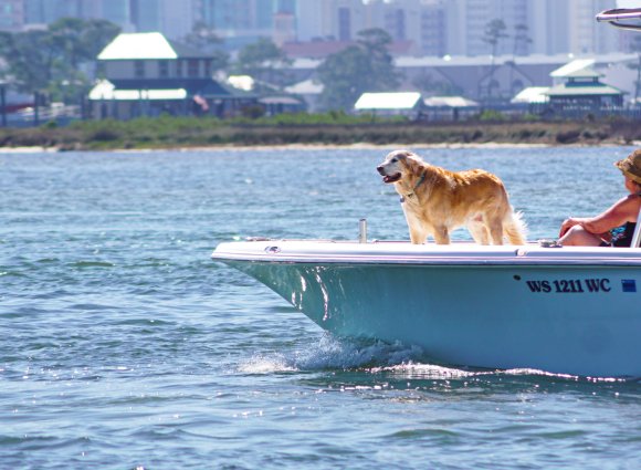 Dog on a boat on Alabama's Beaches