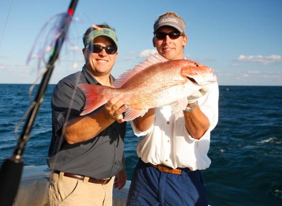 Gulf Coast red snapper