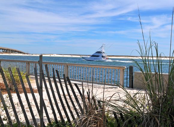 Charter Boat