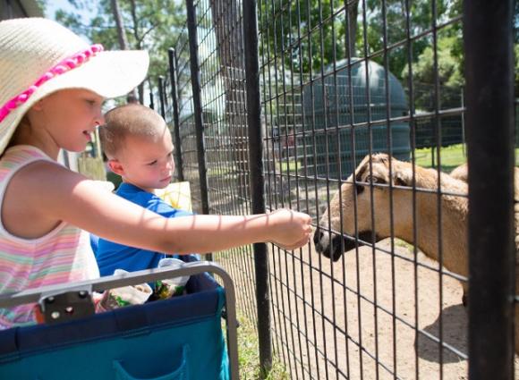 Alabama Gulf Coast Zoo
