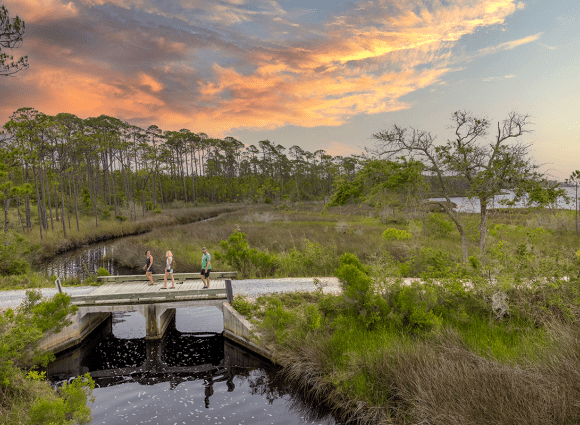 Sunset at Pine Beach Trail