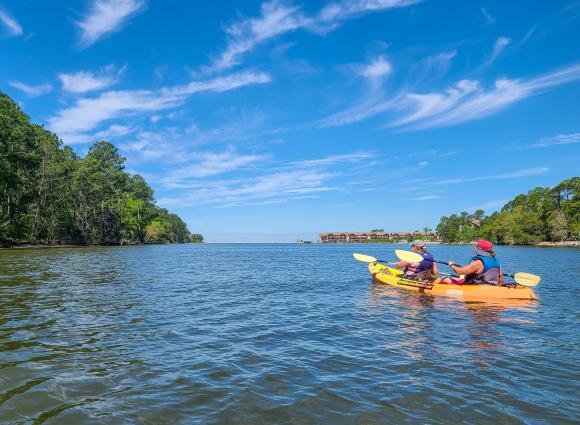 Kayaking on the Back Bay Blueway