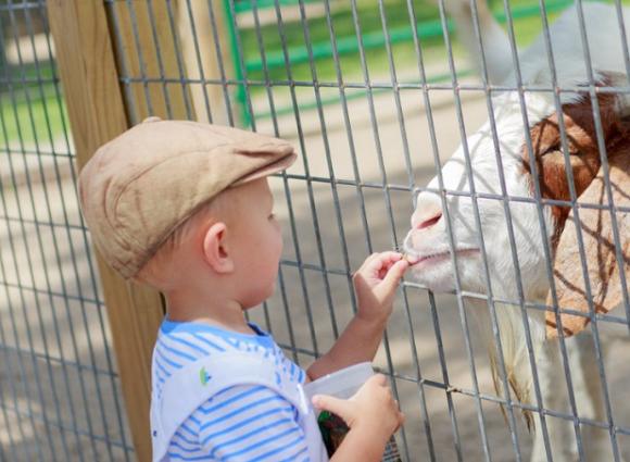 Alabama Gulf Coast Zoo