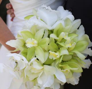 Wedding Orange Beach