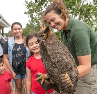 Owl at Gulf State Park Nature Center