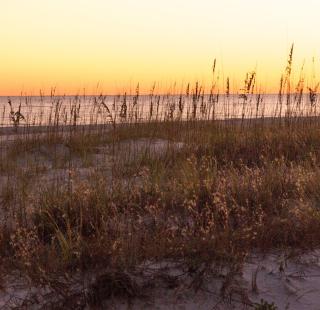 Sunset Gulf Shores Orange Beach