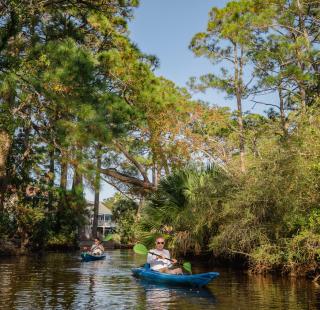 Kayaking in the Back Bay Blueway