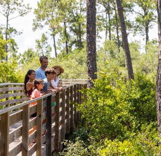 Family walking along a boardwalk trail in Gulf State Park