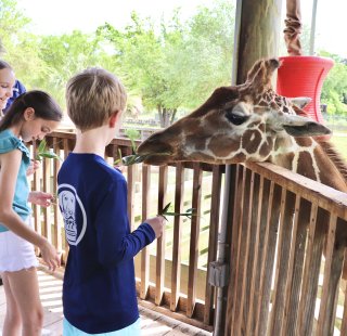 Kids enjoying time at the Alabama Gulf Coast Zoo