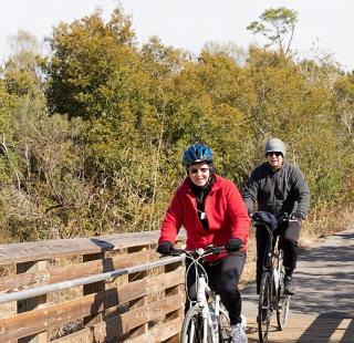 Snowbird biking park trail