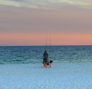 Orange Beach Fishing