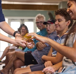 Kids meeting animals at the Gulf State Park