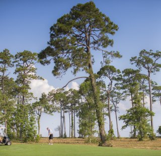 Friends golfing on Alabama's Beaches during a winter vacation