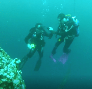 Orange Beach diving