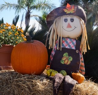 fall pumpkin display
