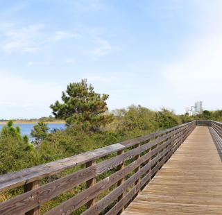 Backcountry Trail Gulf Shores AL