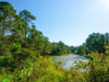 Centennial Trail
