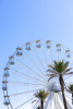 Ferris Wheel at The Wharf