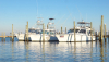 Fort Morgan Marina
