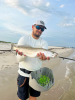 Speckled Trout