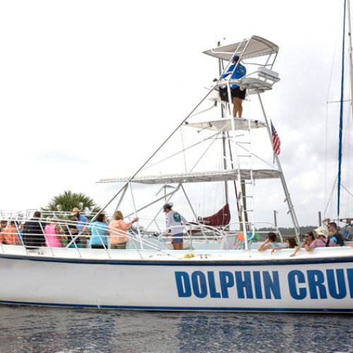 Dolphin Cruise Orange Beach