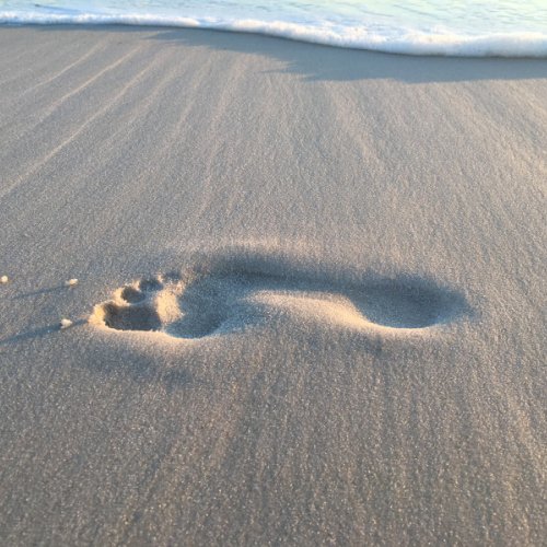 Leave Only Footprints