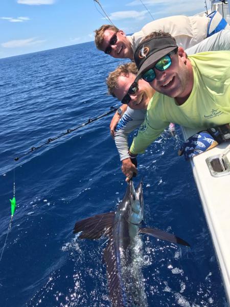 Billfish fishing Gulf of Mexico