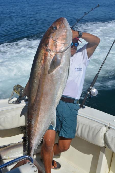 Man holds larger amberjack fish