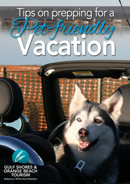Pet Friendly beach vacation