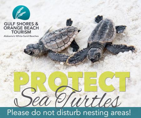 Protect Sea Turtles