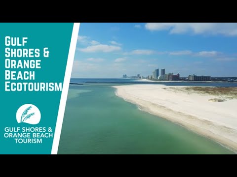 Play the video titled Keeping the Alabama Coast Clean through Ecotourism in Gulf Shores & Orange Beach
